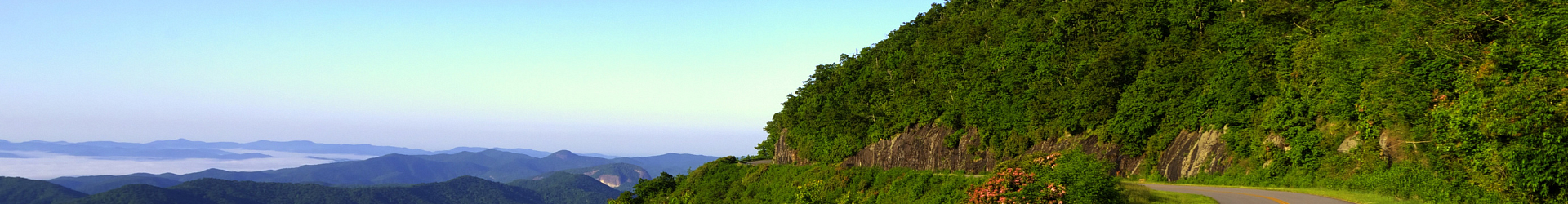 Freedom Wheels Car Rentals &ndash; check your booking details in St Lucia